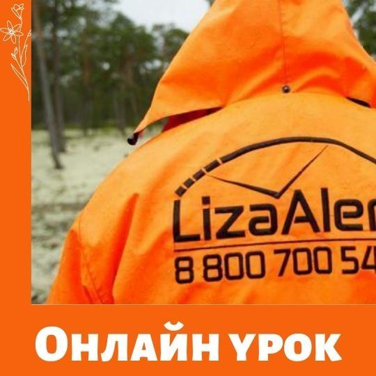 Онлайн занятие для детей от Лиза Алерт