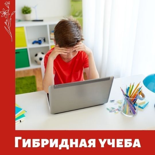 Гибридное обучение школьников в Туле