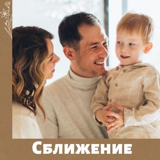 Вебинары проекта "Сближение"