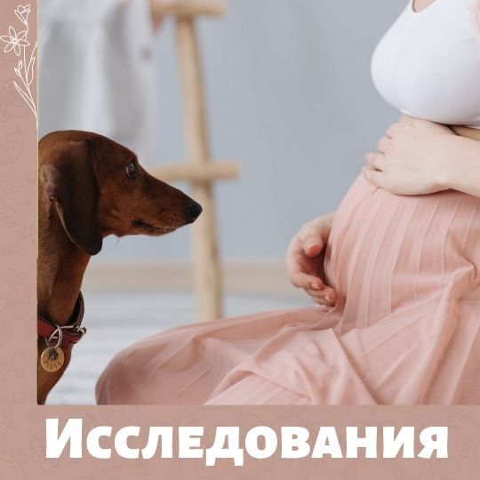 Исследования о влиянии во время беременности