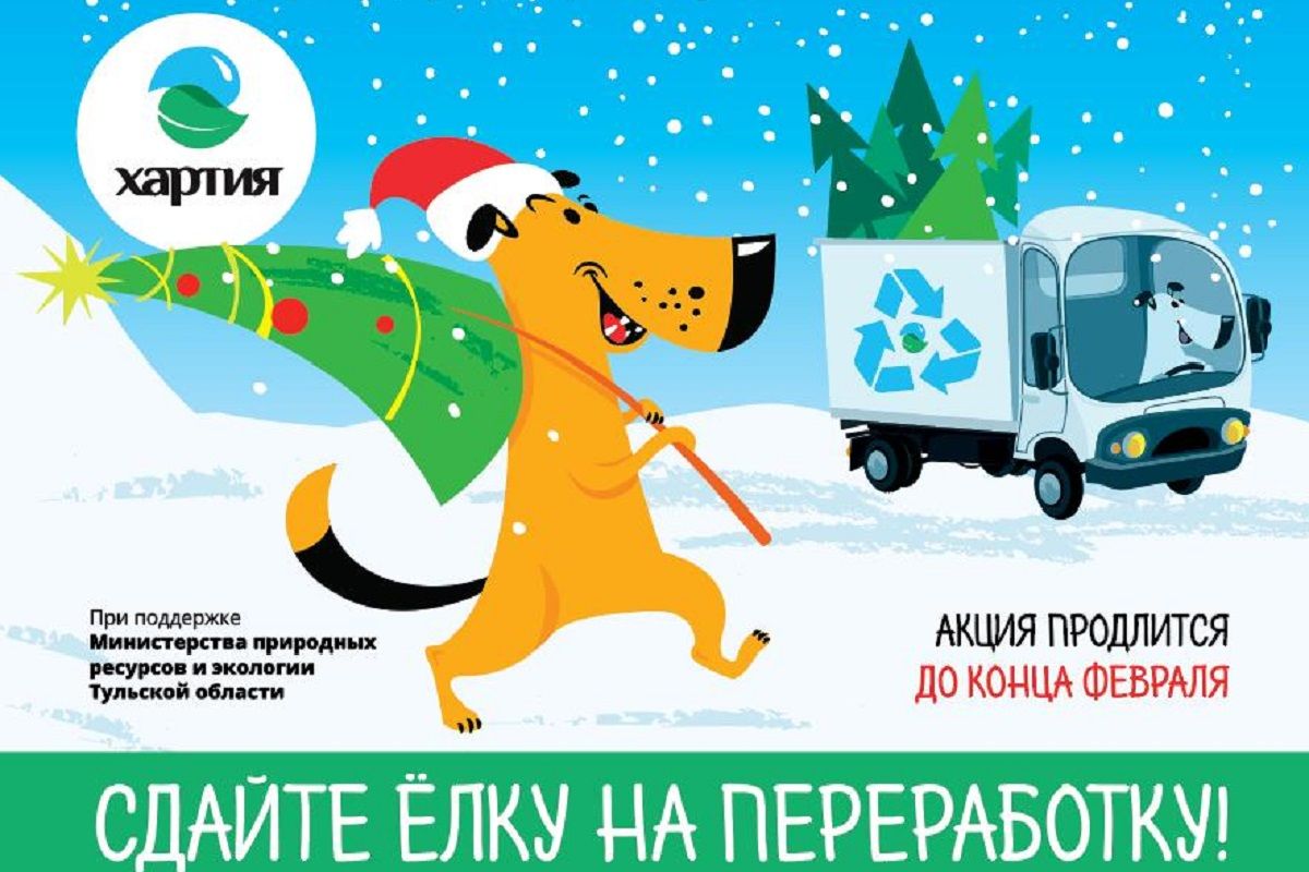 Туляки могут сдать новогодние елки на переработку