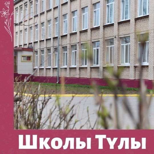 В Тульских школах пройдут проверки