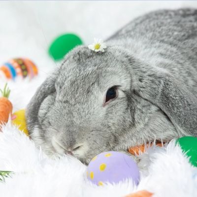 Поздравление с Новым годом!