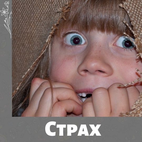 "Давайте говорить": цикл семинаров по управлению эмоциями. СТРАХ