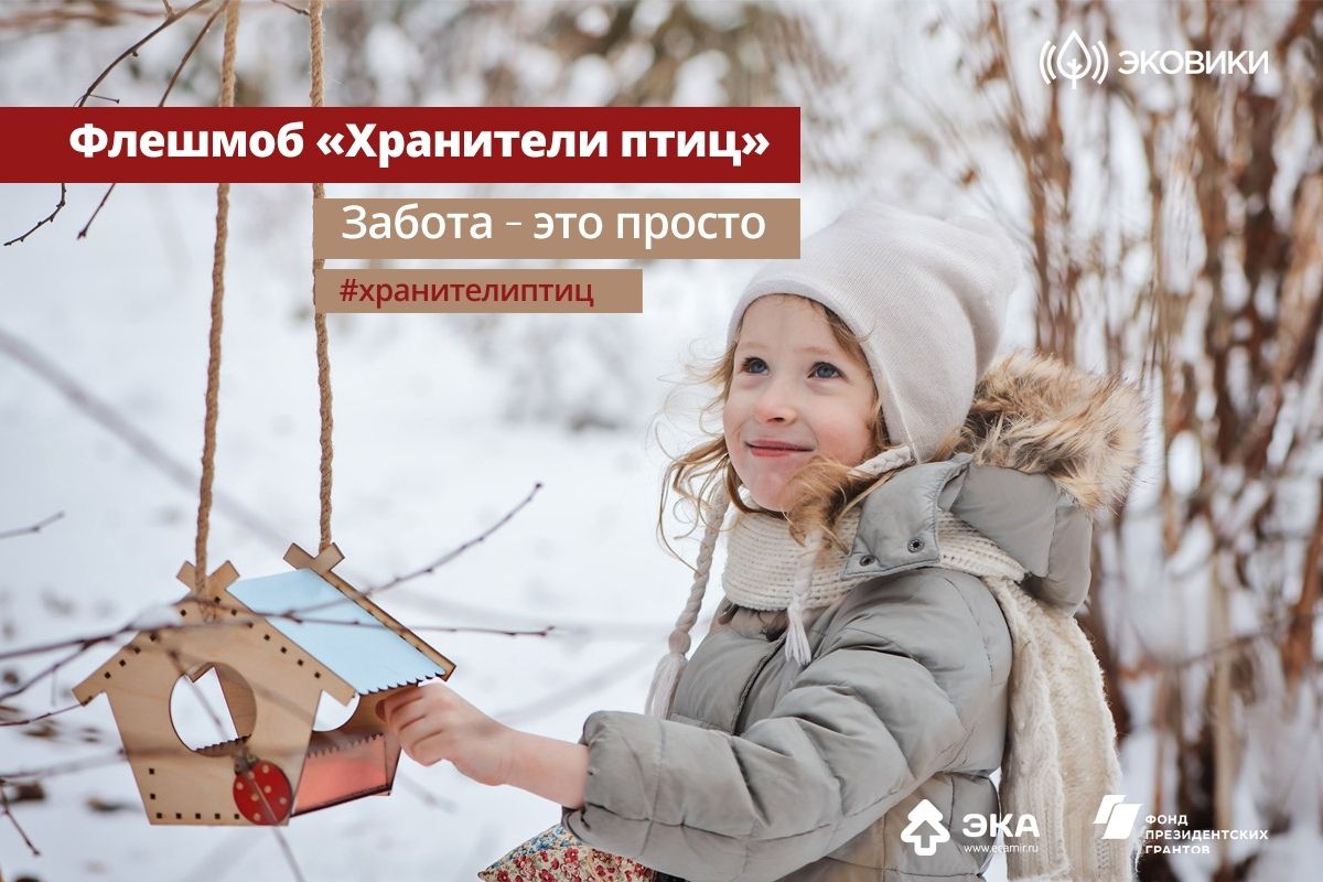 Конкурс на изготовление лучшей кормушки