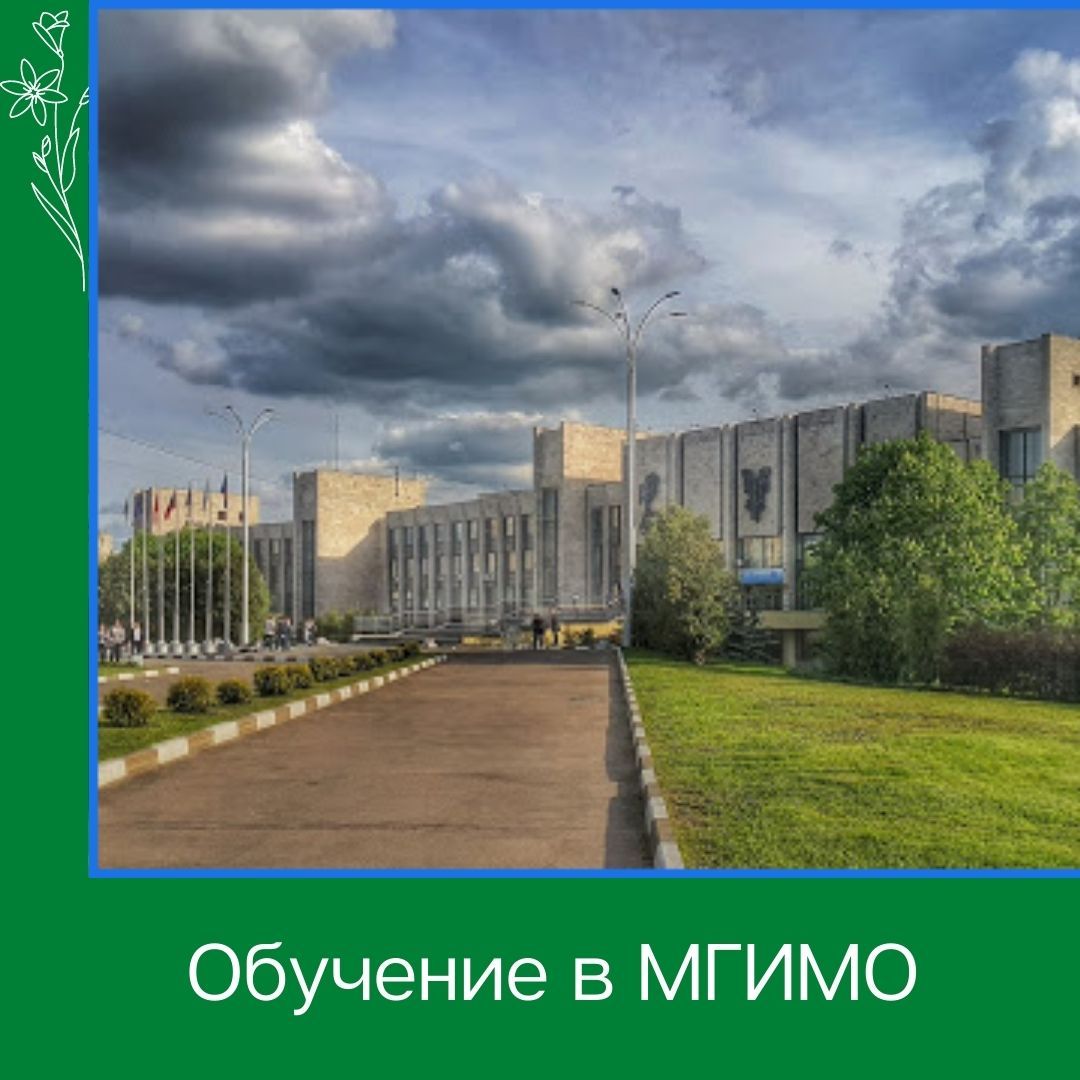 Целевое обучение в МГИМО