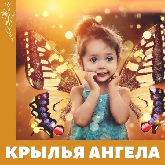 Крылья ангела