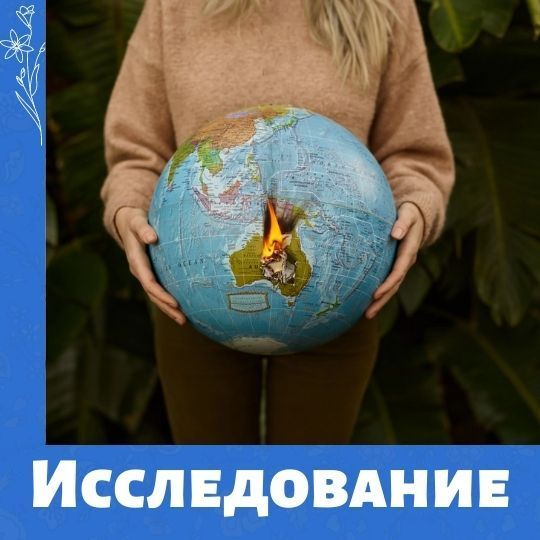 Влияние загрязненного воздуха в третьем триместре