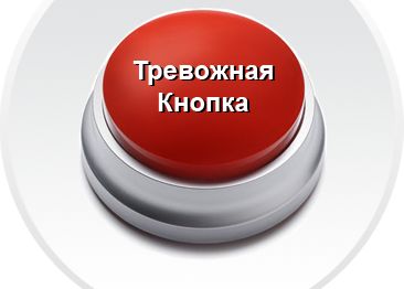 Алексей Дюмин попросил проследить за тем, кто охраняет школы