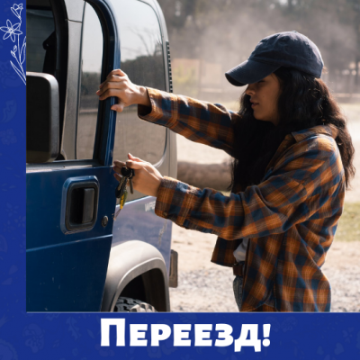 МамКомпания сменила домен