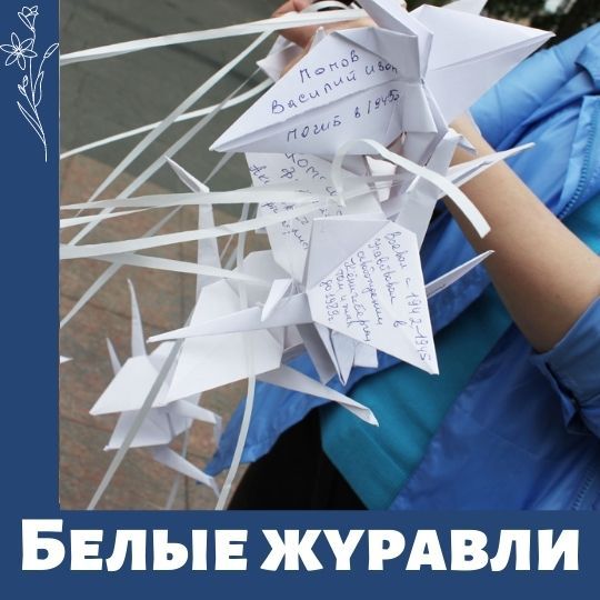 Белые журавли