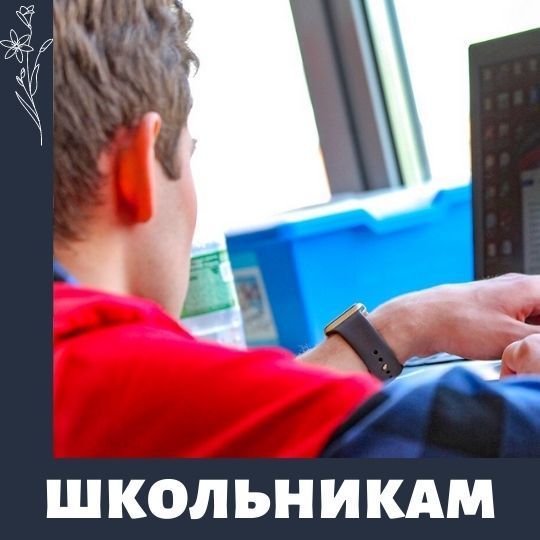 Школьникам - онлайн занятия в Москве