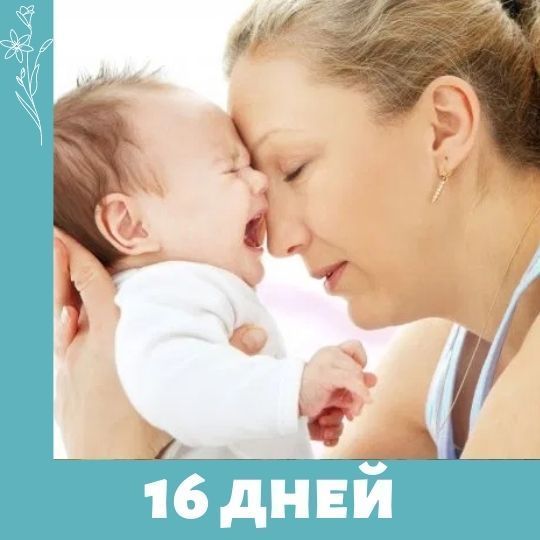 16 дней против насилия