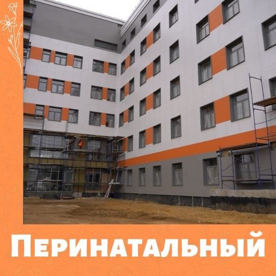 В ноябре-декабре 2021 года в Туле заработает новый Перинатальный центр