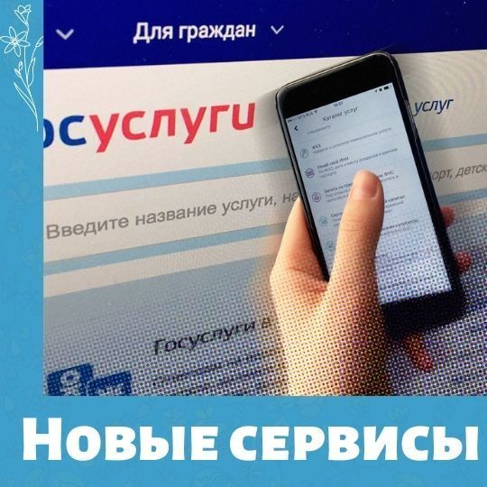 На госуслугах появится 6 новых сервисов 