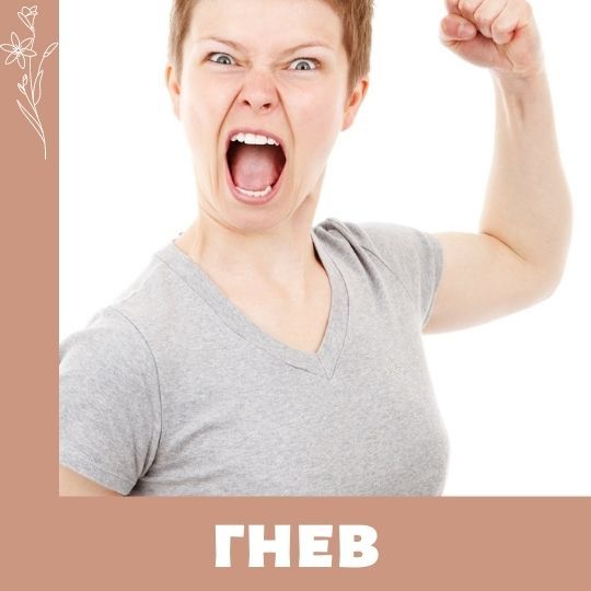 Управление эмоциями. Гнев