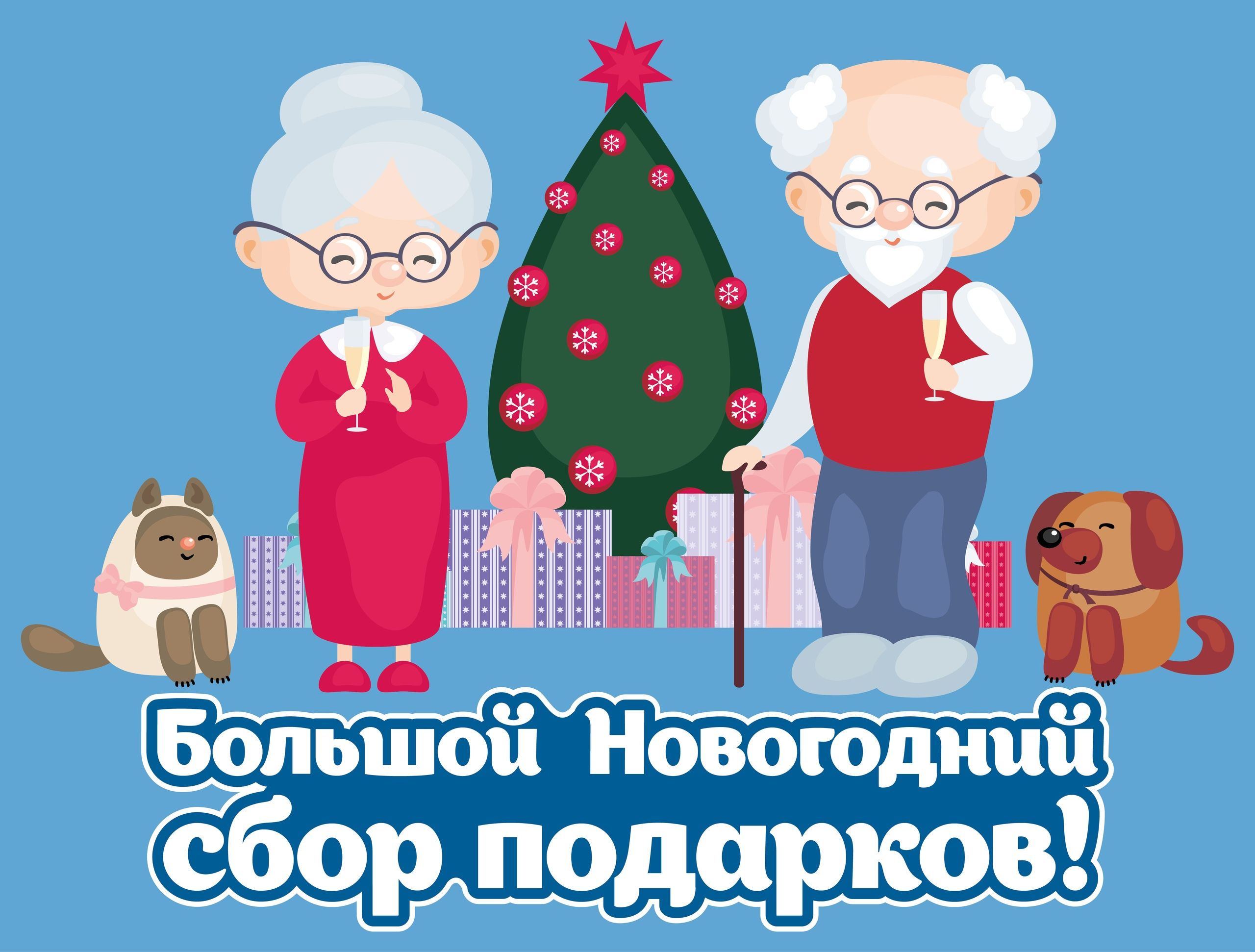Стартует сбор новогодних подарков и полезностей для одиноких бабушек и дедушек из домов престарелых