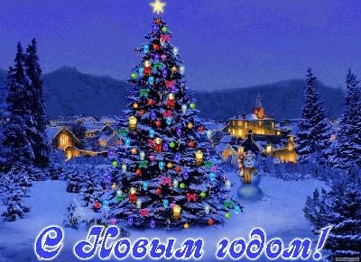 Примите наши поздравления с Новым Годом!
