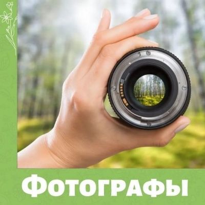 Приглашаем фотографов на условиях Pro-Bono
