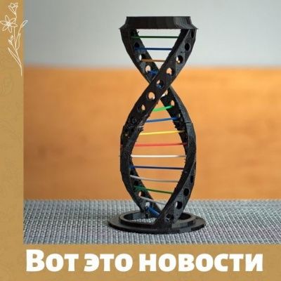 Гены влияют на желание или не желание иметь детей