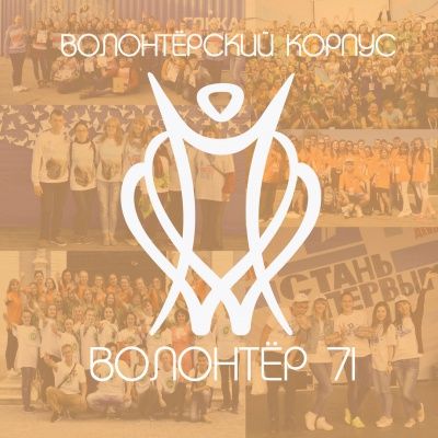 Волонтерский корпус "Волонтер71" просит поддержать его