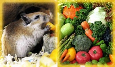 Поделись урожаем с тульским экзотариумом