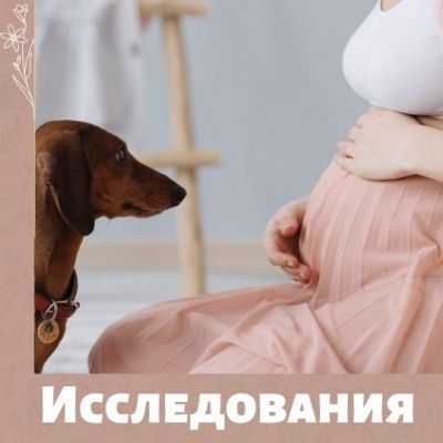 Исследования о влиянии во время беременности