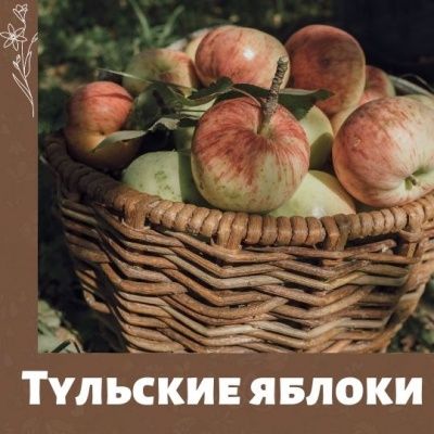 Ресторатор Аркадий Новиков и потомок великого писателя Илья Толстой прорекламировали тульские яблоки