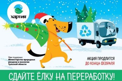 Туляки могут сдать новогодние елки на переработку