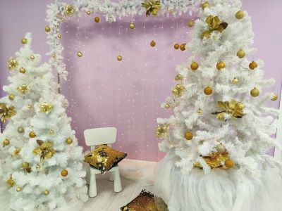 Итоги фотоконкурса  костюмов с новогоднего малышника