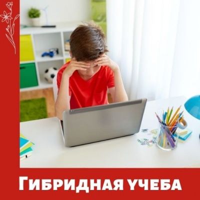 Гибридное обучение школьников в Туле