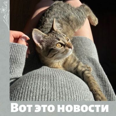 Подборка новостей и исследований про беременных