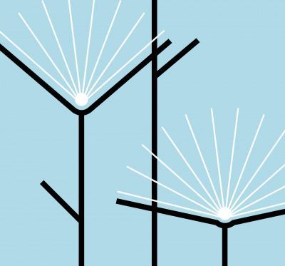 Фестиваль детской литературы «Книги на лето»