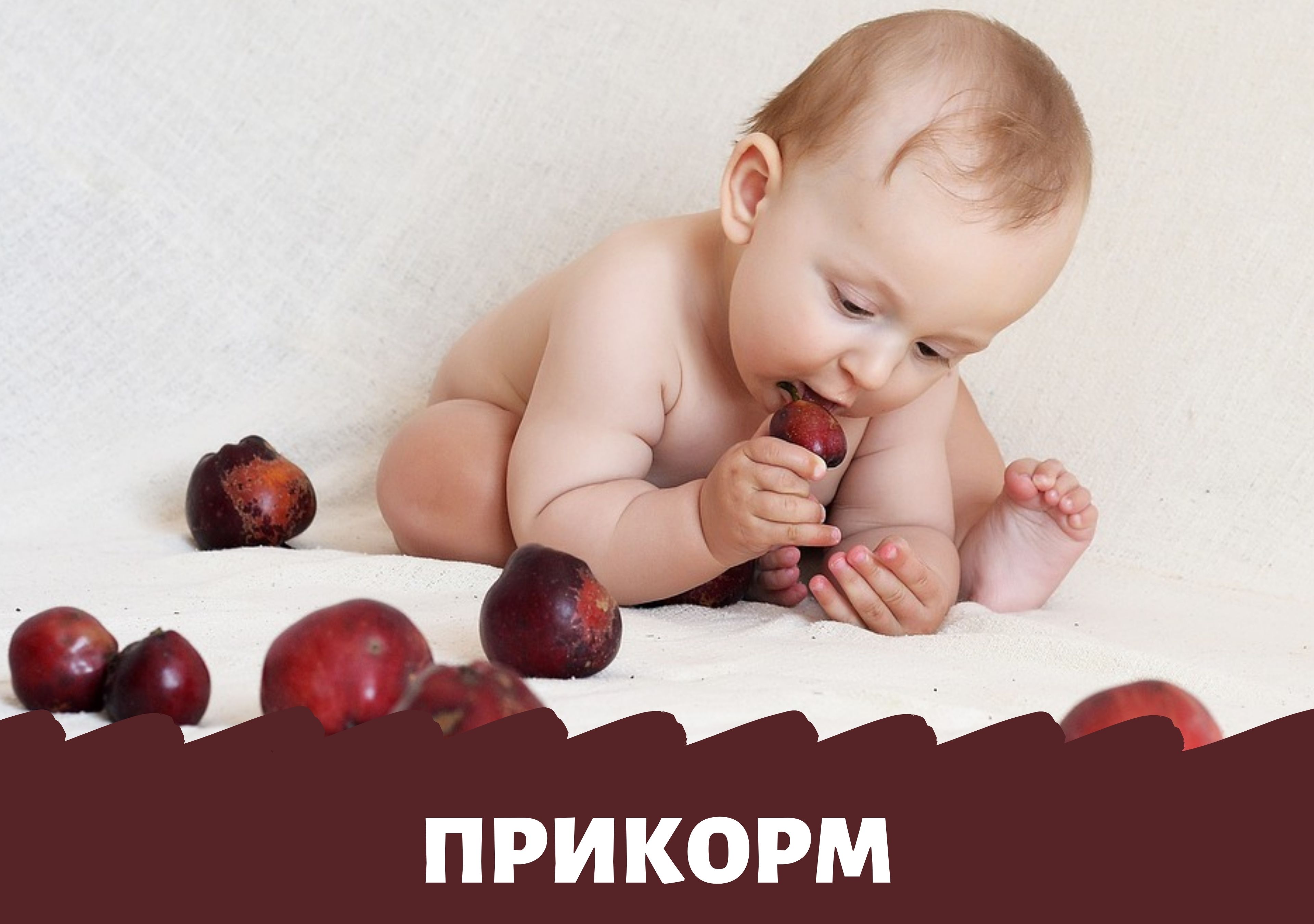 Прикорм - общие вопросы