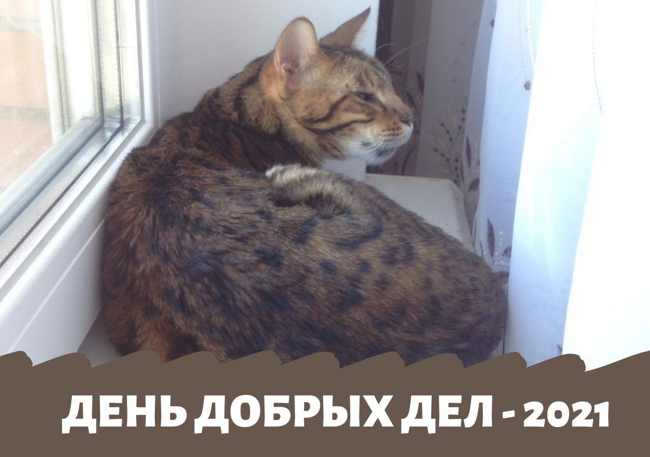 Альянс Защитников Животных