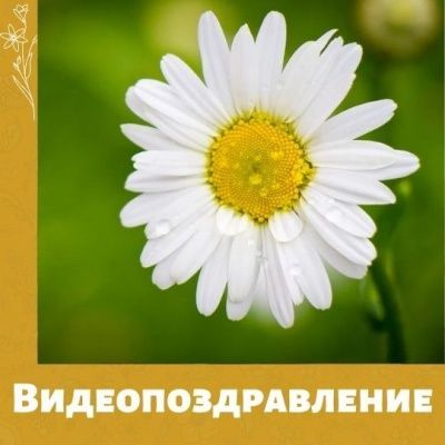 Поздравление от тульских некоммерческих организаций