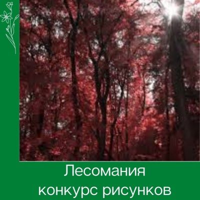 Лесомания