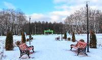 Зима по-тульски:  экскурсия по Центральному парку 24.12 в 11:00
