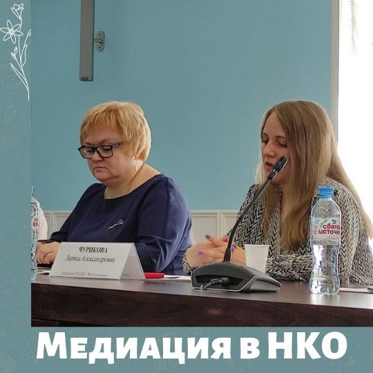 Лариса Александровна о медиации