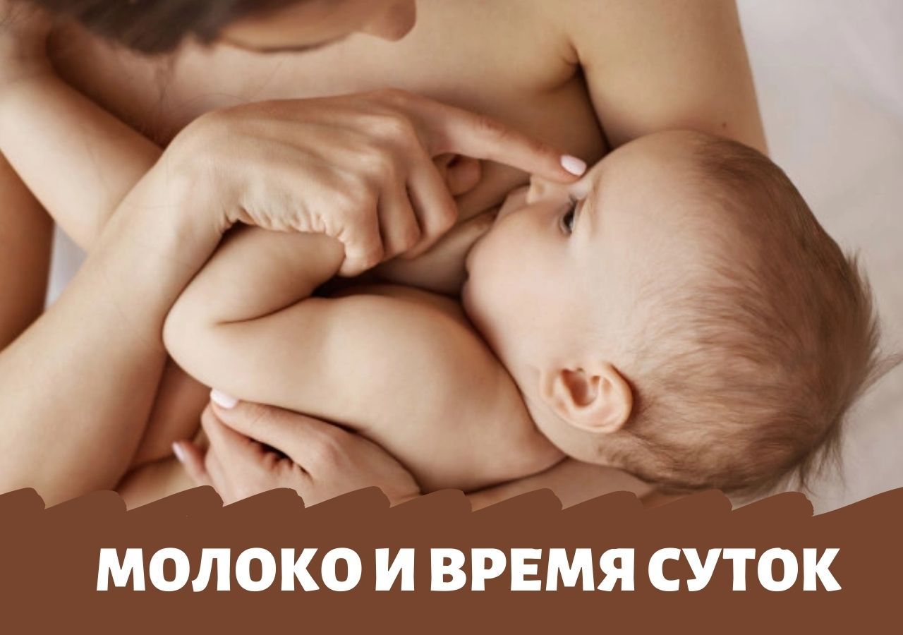 Биологические часы новорожденного и роль грудного вскармливания