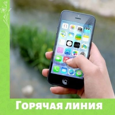 Горячая линия по детским выплатам 